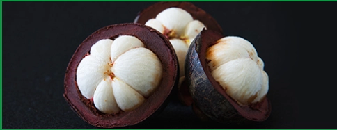 Metabolic Burner 1 Mangosteen