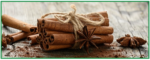 Metabolic Burner 3 Cinnamon Bark