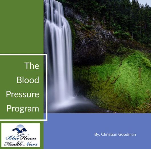 The Blood Pressure Program Book